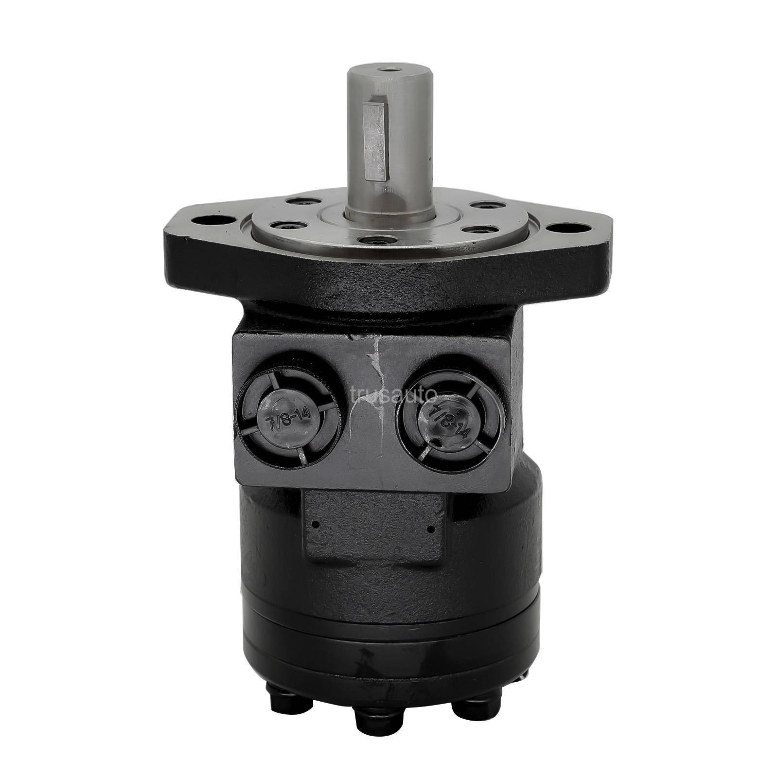 Hydraulic Motor 100CC